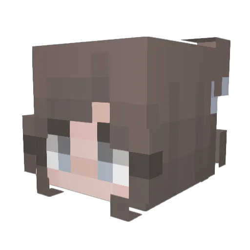gamedog00 Minecraft avatar head, 3D render