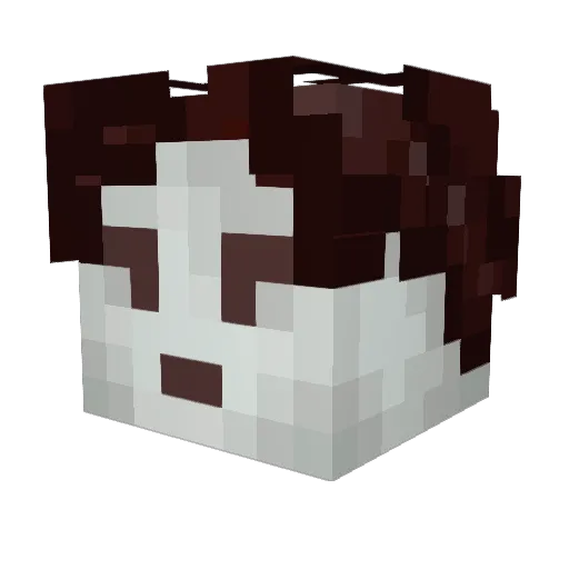 gamefan1312 Minecraft avatar head, 3D render