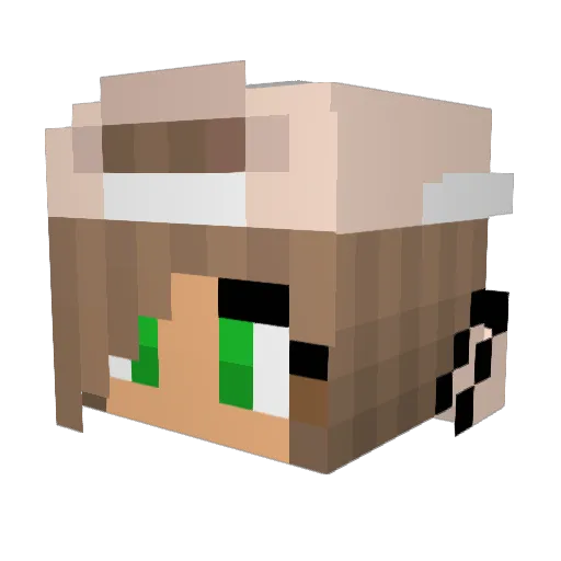 gameinvader_ Minecraft avatar head, 3D render