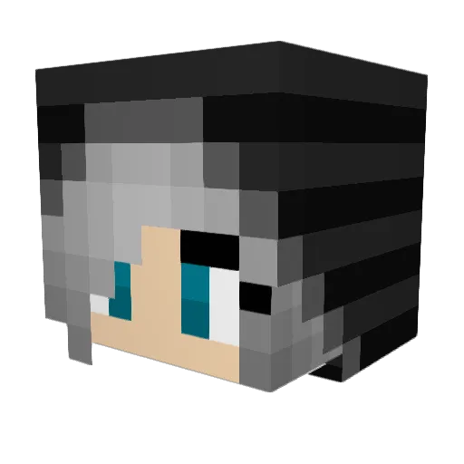 gamelover123 Minecraft avatar head, 3D render