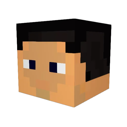 gamemaster1271 Minecraft avatar head, 3D render