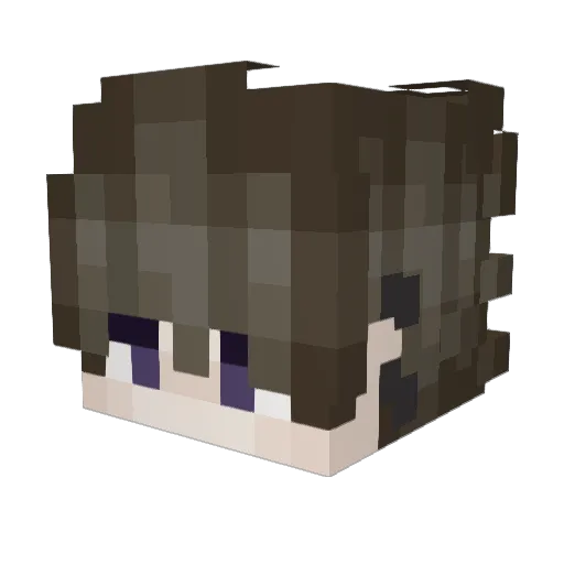 gamer0891 Minecraft avatar head, 3D render