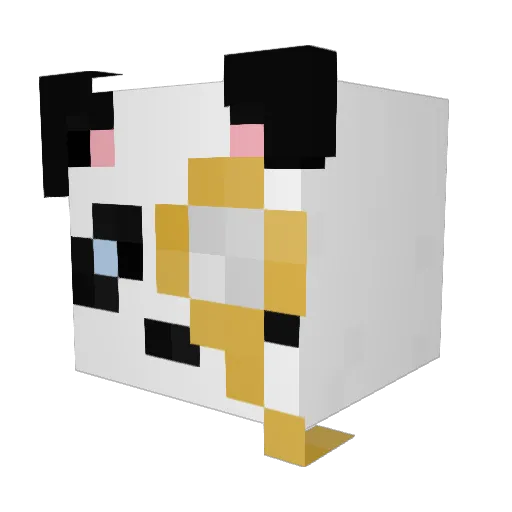 gamer10dan Minecraft avatar head, 3D render