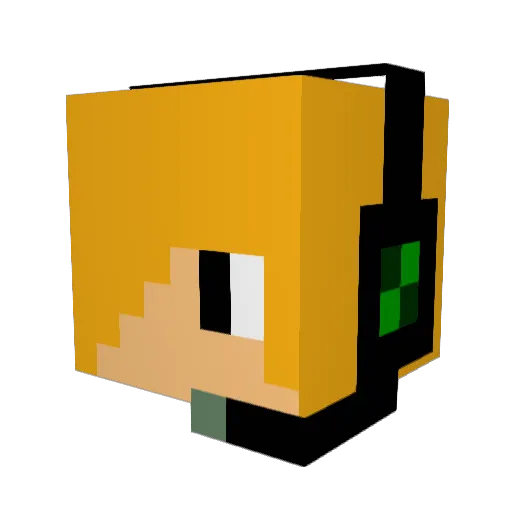 gamer214 Minecraft avatar head, 3D render