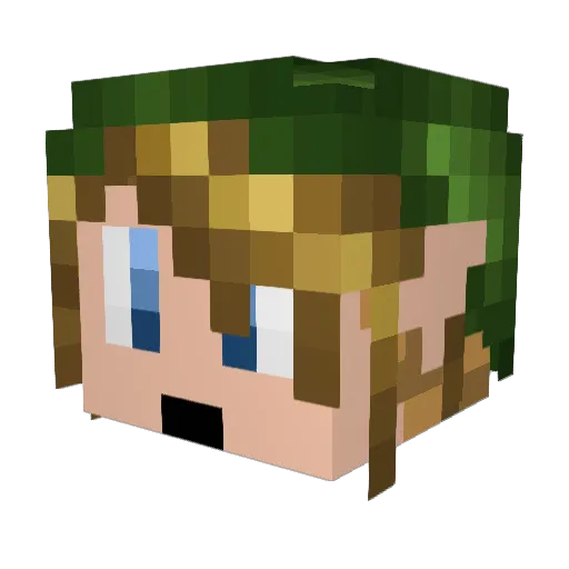 gamer5733 Minecraft avatar head, 3D render