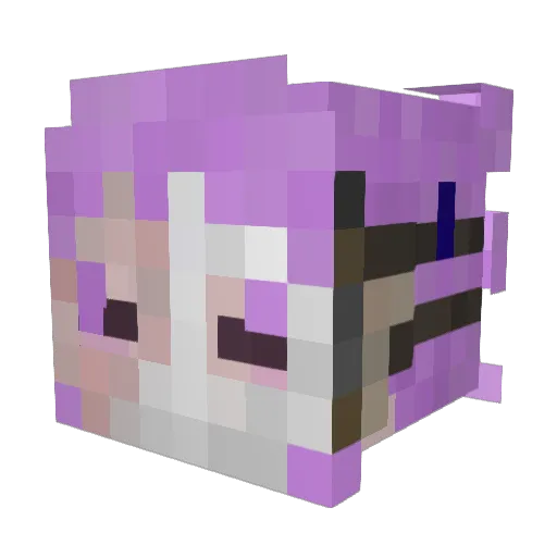 gamer710_ Minecraft avatar head, 3D render