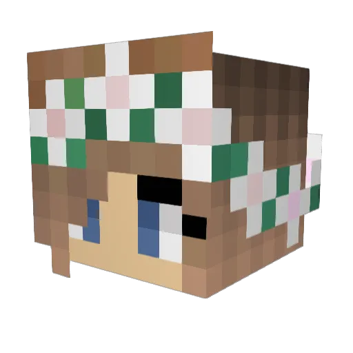 gamer_geek_ Minecraft avatar head, 3D render