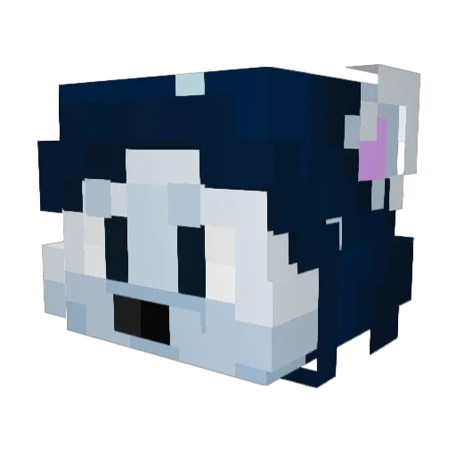 gamerandr3eeeee Minecraft avatar head, 3D render