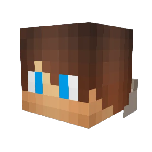 gamerbob145 Minecraft avatar head, 3D render