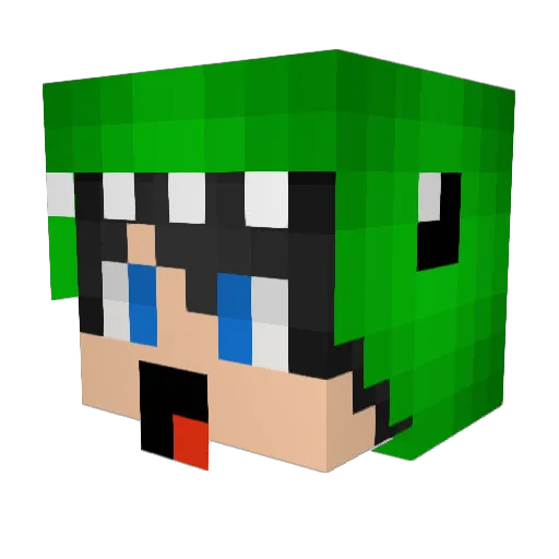gamerboy110 Minecraft avatar head, 3D render
