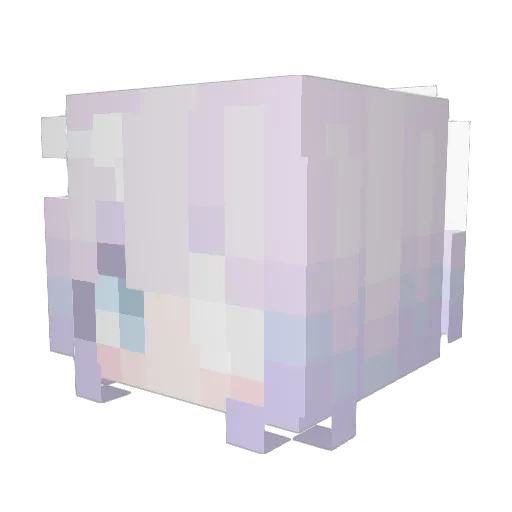 gamercat7000 Minecraft avatar head, 3D render