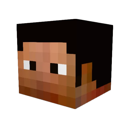 gamerexpert54 Minecraft avatar head, 3D render