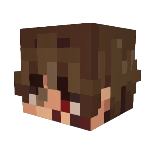 gamerfred020 Minecraft avatar head, 3D render