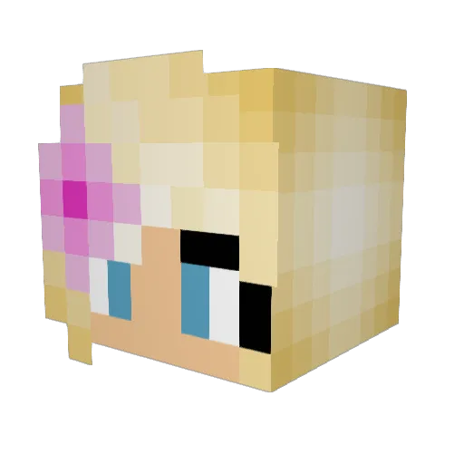 gamergall99 Minecraft avatar head, 3D render