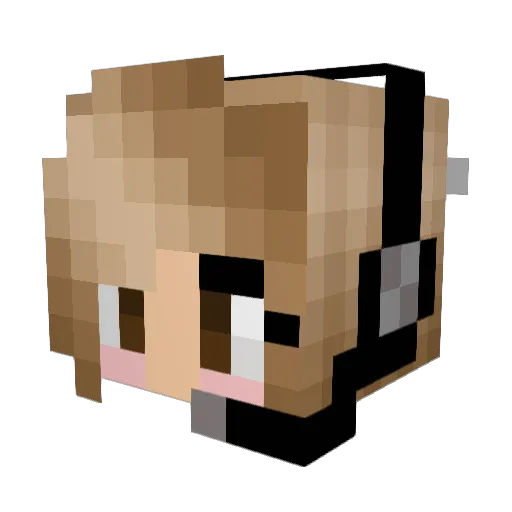 gamergirll2003 Minecraft avatar head, 3D render