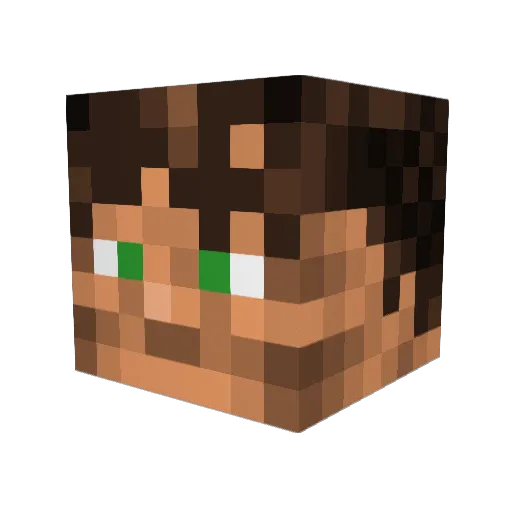 gamerleo63 Minecraft avatar head, 3D render