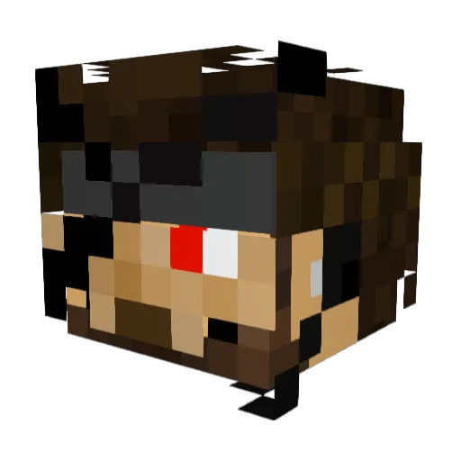 gamerman9872 Minecraft avatar head, 3D render