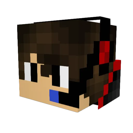 gamermod666 Minecraft avatar head, 3D render