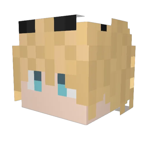 gamernoob123 Minecraft avatar head, 3D render