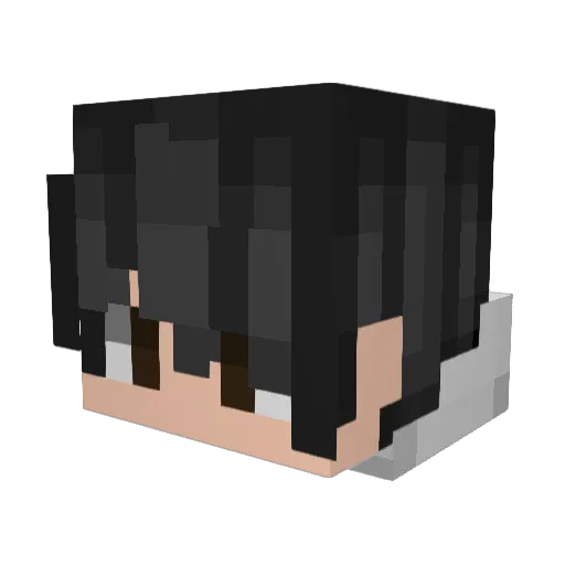 gamerpetermc Minecraft avatar head, 3D render