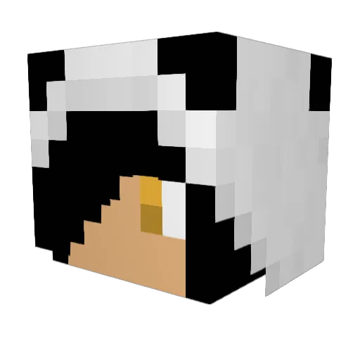 gamers5566New Minecraft avatar head, 3D render