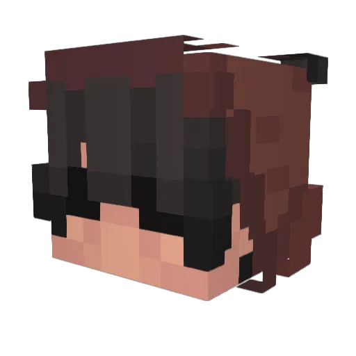 gamersf2007 Minecraft avatar head, 3D render