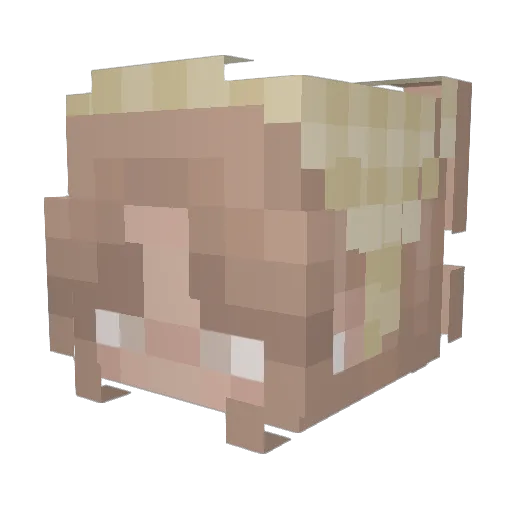 gamerweeb2007 Minecraft avatar head, 3D render