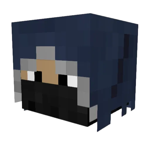 gamerxboyx55 Minecraft avatar head, 3D render