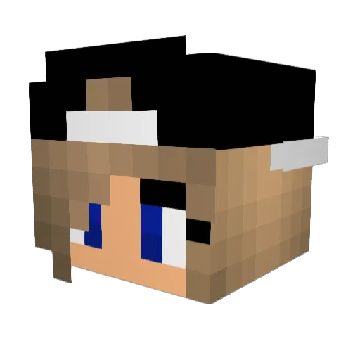 gamingSophie Minecraft avatar head, 3D render