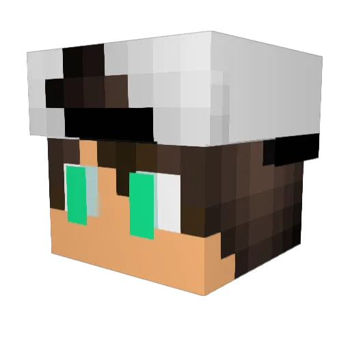 gamingbeast14008 Minecraft avatar head, 3D render