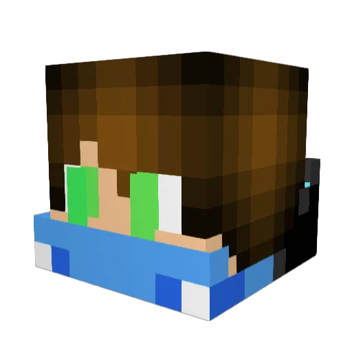 gamingbro77 Minecraft avatar head, 3D render