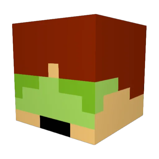 gamjatuigim Minecraft avatar head, 3D render