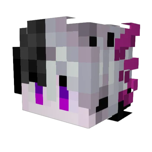 gande22 Minecraft avatar head, 3D render