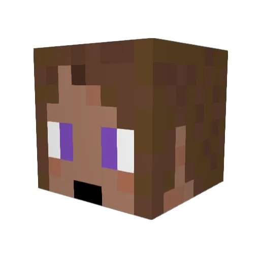 garako3 Minecraft avatar head, 3D render