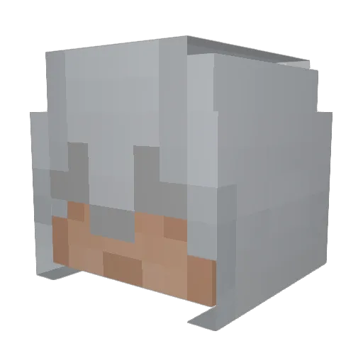 gardog1219 Minecraft avatar head, 3D render