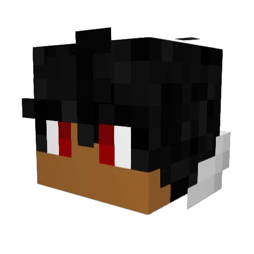 garfieldguy139 Minecraft avatar head, 3D render