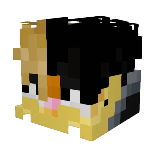 garfunkle_VEVO Minecraft avatar head, 3D render