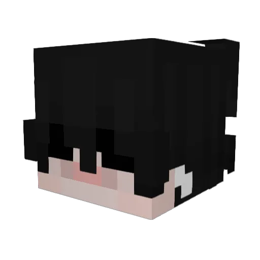 garruya Minecraft avatar head, 3D render