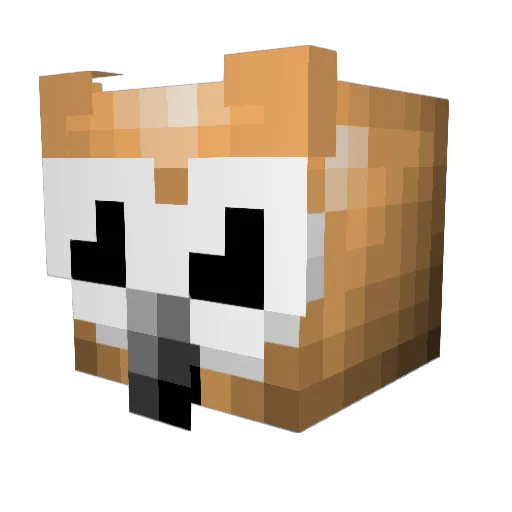 gasdia123 Minecraft avatar head, 3D render