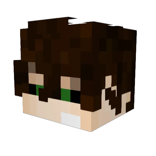 gasfas4 Minecraft avatar head, 3D render