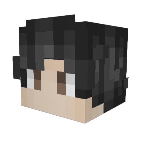 gashi2013 Minecraft avatar head, 3D render