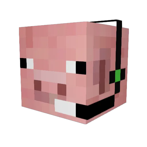 gassytnt123 Minecraft avatar head, 3D render