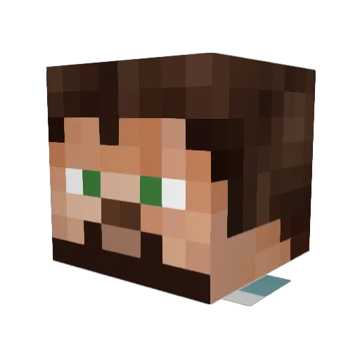 gast_007 Minecraft avatar head, 3D render