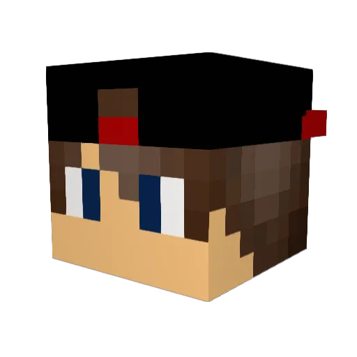 gastroboy123 Minecraft avatar head, 3D render