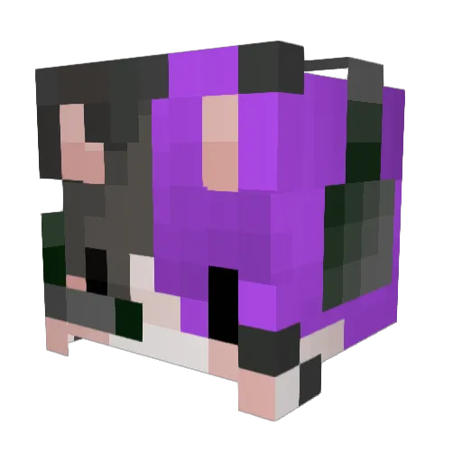 gatitogamer Minecraft avatar head, 3D render