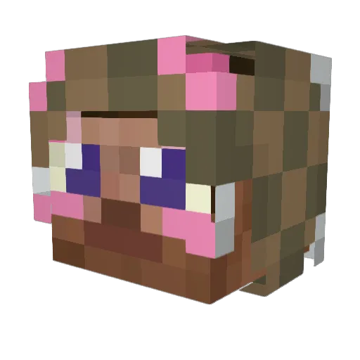 gatitohaker Minecraft avatar head, 3D render