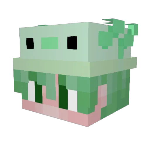 gatomulti Minecraft avatar head, 3D render