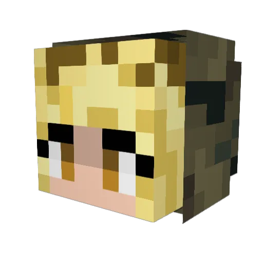gatoradeofficial Minecraft avatar head, 3D render