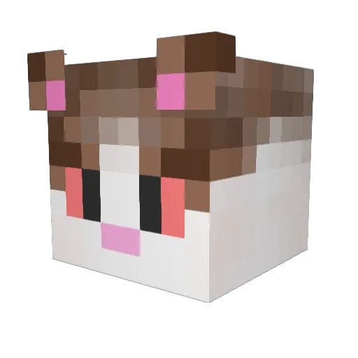 gatroll Minecraft avatar head, 3D render