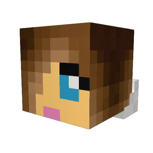 gauchogirl Minecraft avatar head, 3D render